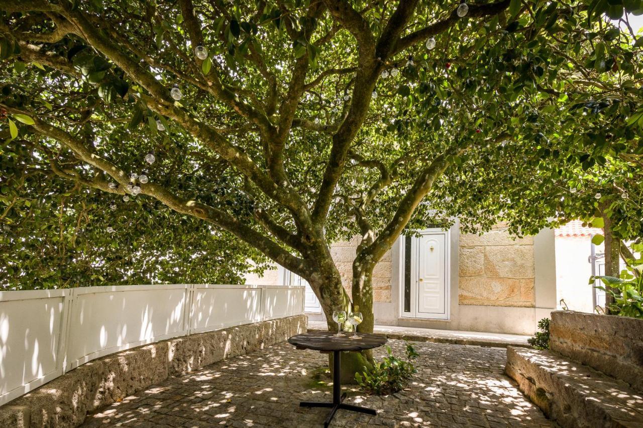 Casa De Ferreira Cinfaes Villa Dış mekan fotoğraf